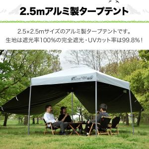 ワンタッチタープテント 2.5m×2.5m 横...の詳細画像2