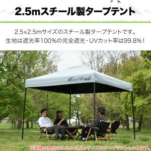 ワンタッチタープテント 2m×2m スチール/...の詳細画像2