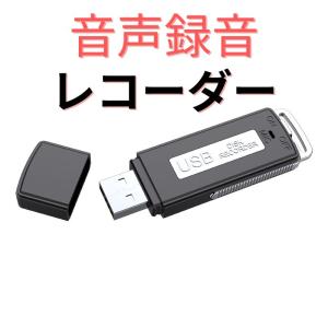 高音質　ワンタッチ ボイスレコーダー ICレコーダー USB 16GB｜maxshop