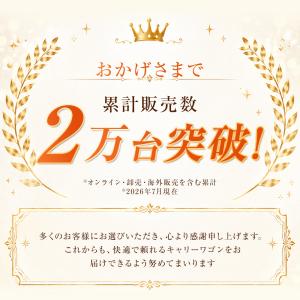 【特典あり!】 アウトドアワゴン キャリーワゴ...の詳細画像1