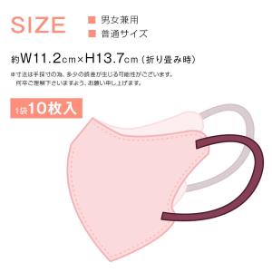 【限定クーポンあり!】3D立体マスク 日本製 ...の詳細画像5
