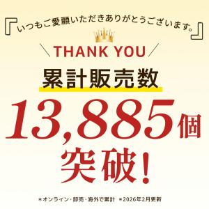 【レビュー特典】 ヘアアイロン 充電式 ストレ...の詳細画像1