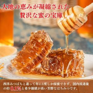 日本みつばち 国産はちみつ 純粋はちみつ 非加...の詳細画像1
