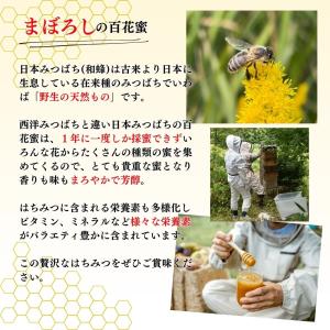 日本みつばち 国産はちみつ 純粋はちみつ 非加...の詳細画像3