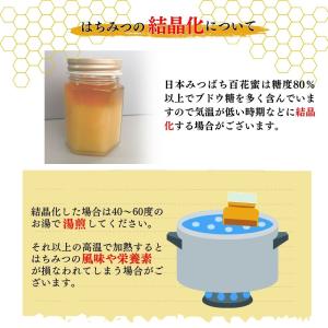 日本みつばち 国産はちみつ 純粋はちみつ 非加...の詳細画像5