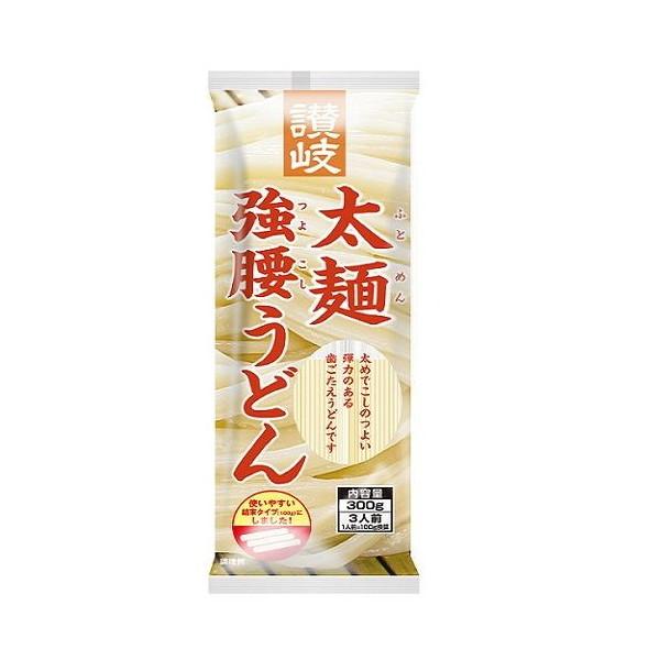 さぬきシセイ 讃岐 太麺強腰うどん 300g ×20 メーカー直送