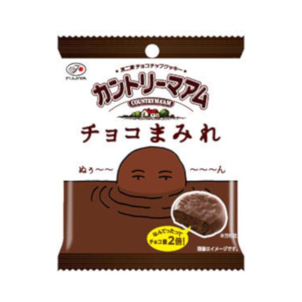 不二家 カントリーマアム チョコまみれ 48g ×10 メーカー直送