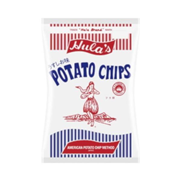 ソシオ工房 フラ印 アメリカンポテトチップス うすしお味 160g ×12 メーカー直送