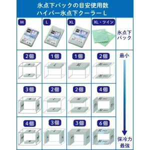 【4個セット】ロゴス 保冷剤 LOGOS 倍速...の詳細画像3