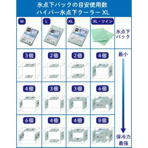 【4個セット】ロゴス 保冷剤 LOGOS 倍速...の詳細画像4