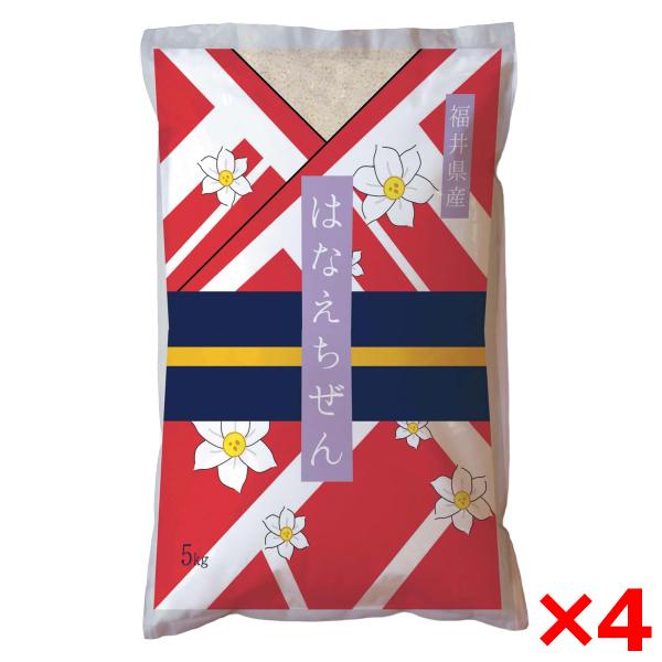 令和七年度産 福井県産ハナエチゼン 20kg(5kg×4) メーカー直送