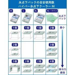 【2個セット】ロゴス 保冷剤 LOGOS 倍速...の詳細画像2