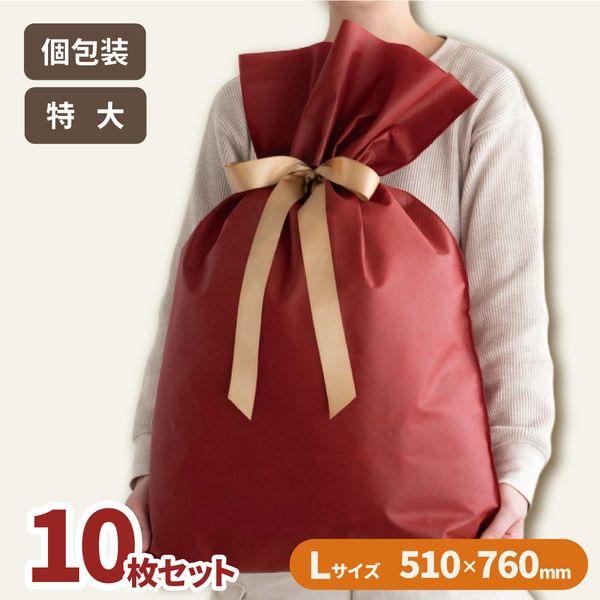 10枚セット ヘッズ 不織布巾着 レッド L ERBL