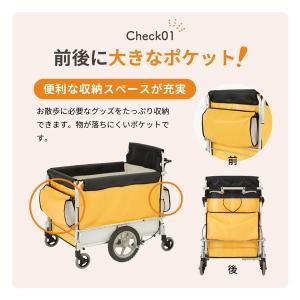 KATOJI サンポカー2 41595 散歩用...の詳細画像5
