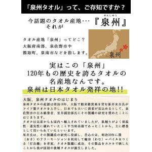 林 泉州タオル フェイスタオル アークカラー ...の詳細画像3