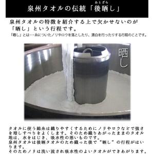 林 泉州タオル フェイスタオル アークカラー ...の詳細画像4