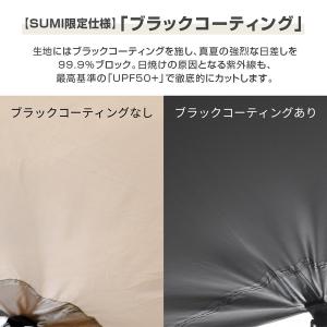 DOD TT5-275-IV いつかのタープS...の詳細画像2