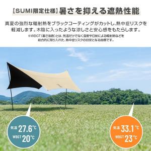 DOD TT5-275-IV いつかのタープS...の詳細画像3