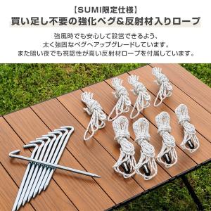 DOD TT5-275-IV いつかのタープS...の詳細画像4