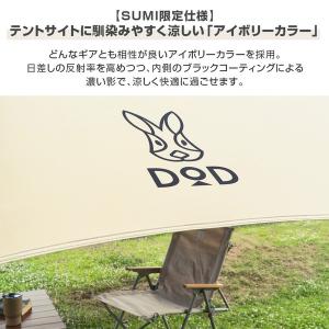 DOD TT5-275-IV いつかのタープS...の詳細画像5