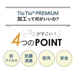 AIRBUGGY エアバギー TioTio ス...の詳細画像4