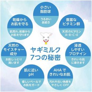 アクシス レイヴィー ボディシャンプー(ボディ...の詳細画像2