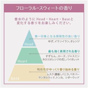 アクシス レイヴィー ボディシャンプー(ボディ...の詳細画像3