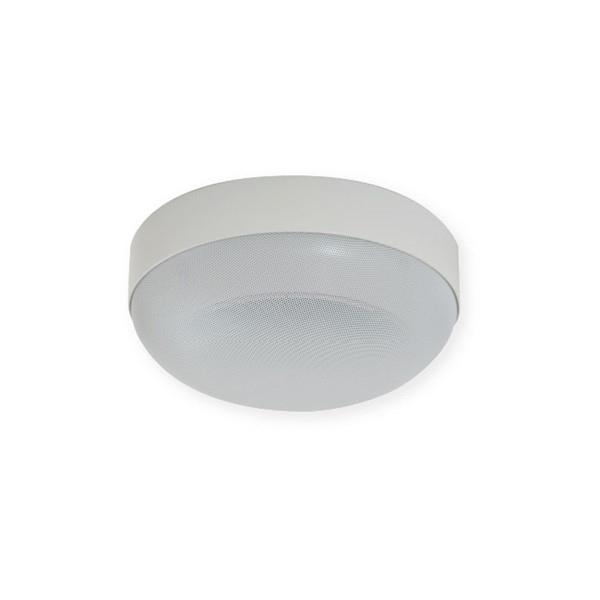 MASSIVE OE-R160 アイボリー 160mm フルレンジスピーカー