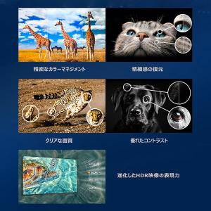 テレビ 75型 TCL 75C645 地上・B...の詳細画像4