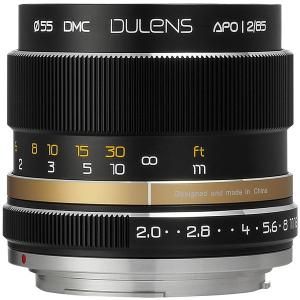 毒鏡 DULENS APO 85mm F2 ニコンFマウント (ブラック) 交換レンズ