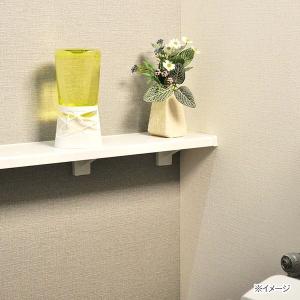 アース製薬 トイレのスッキーリ! ミントグレー...の詳細画像3