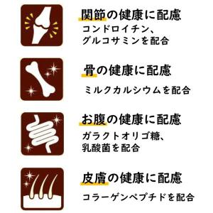 いなばペットフード いなば ちゅ〜るごはんスー...の詳細画像2