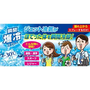 アイスノン 爆冷スプレー ミントの香り 330...の詳細画像3