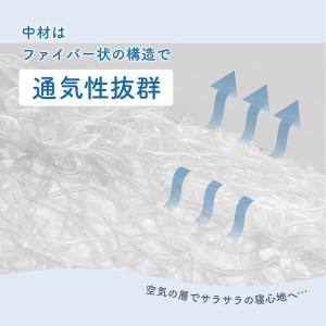 KATOJI 洗えるぐうぐうねんね ミニ 05...の詳細画像3