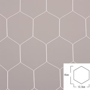 EVERNEW エバニュー EKD841 一般サッカーゴールネット亀甲S115