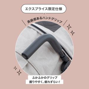 日本育児 DUOシティHOPII パールベージ...の詳細画像5