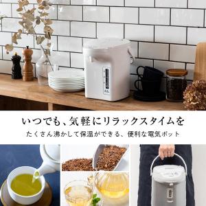 ピーコック PeacocK WVP-22 電気...の詳細画像2