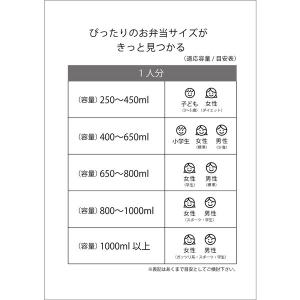 スケーター OS1 らぶいーず 折りたたみ式 ...の詳細画像4