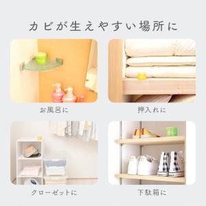 防カビ剤 芳香剤 90日間 消臭 防カビフレグ...の詳細画像3