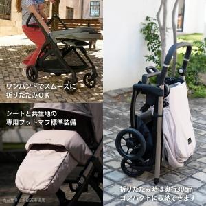 Inglesina イングリッシーナ エレクタ...の詳細画像2