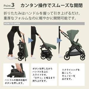 Inglesina イングリッシーナ エレクタ...の詳細画像5