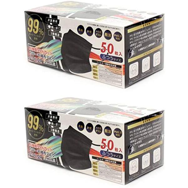 アルファ 使い捨てマスク カラー不織布マスク ふつうサイズ 50枚入り (2箱, ブラック)