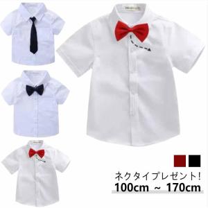 学生服 男子 子供 半袖 制服 カッターシャツ ...の商品画像