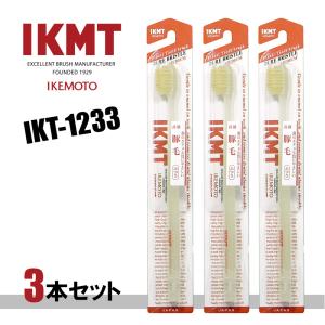 ☆ポスト投函 IKT3031-3極細テーパー毛歯ブラシ オーバルラージ