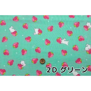 ダブルガーゼ 生地 いちご うさぎ マスク ベ...の詳細画像4