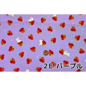 ダブルガーゼ 生地 いちご うさぎ マスク ベ...の詳細画像5