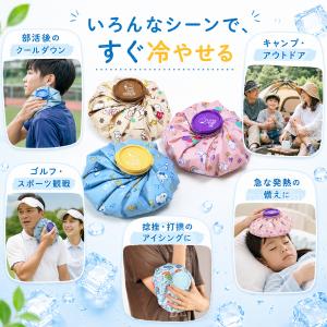 スヌーピー ミッフィー 氷のう 氷嚢 アイスバ...の詳細画像3