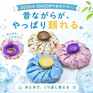 スヌーピー ミッフィー 氷のう 氷嚢 アイスバ...の詳細画像2