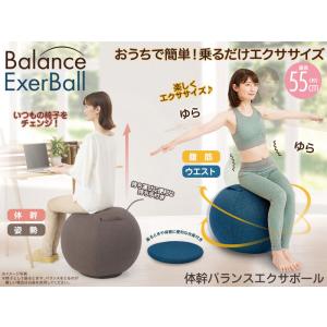 体幹バランスエクサボール バランスボール カバー付き