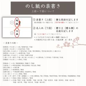 くまのプーさん ハニープランタン ウォッシュタ...の詳細画像2